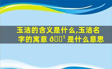 玉洁的含义是什么,玉洁名字的寓意 🌹 是什么意思